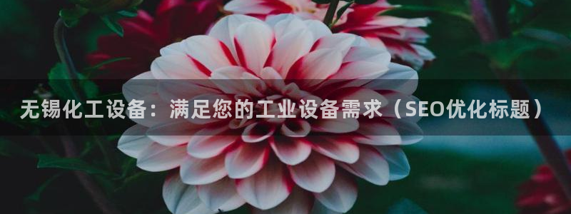 新城平台是正规平台吗
