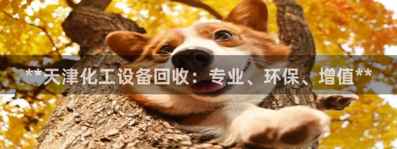 新城平台登录入口官网查询系统