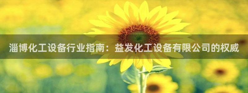 新城平台属于哪个系列