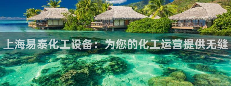 新城平台登录入口官网查询网址