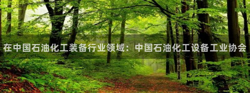 新城平台注册资金多少合适