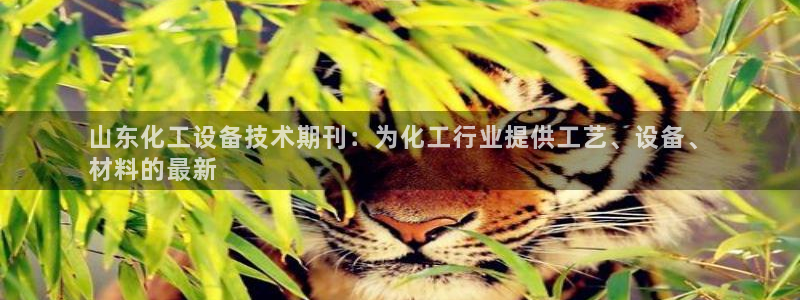新城平台是干嘛的公司有哪些