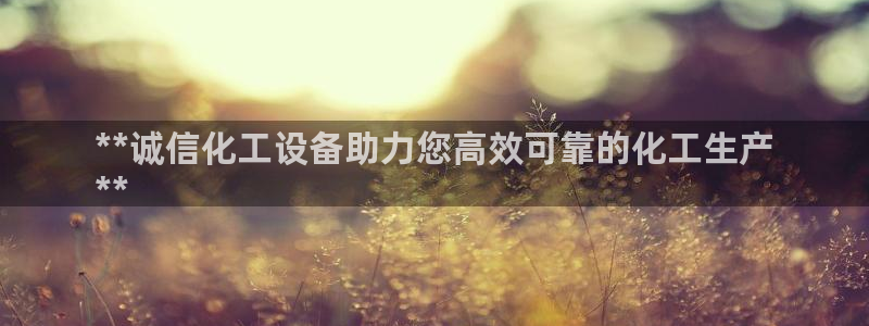 新城平台是干嘛的公司有哪些