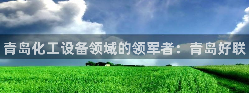 新城平台官网