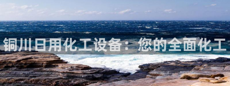 新城平台登录入口官网首页查询