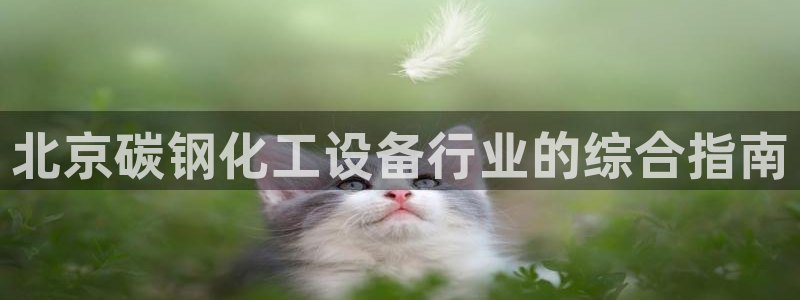 新城平台公司是国企吗
