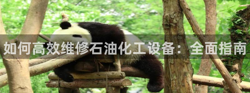 新城平台记7O777