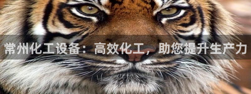 新城平台线路登录不上去了怎么回事