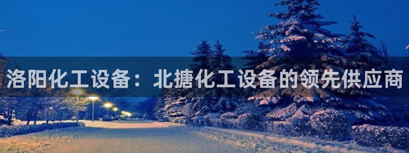 新城平台登录入口官网首页查询