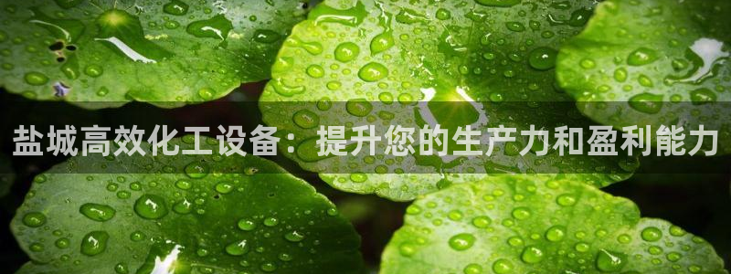 新城平台注册网址是多少