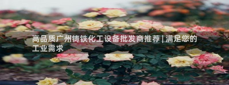 新城平台注册公司流程及费用