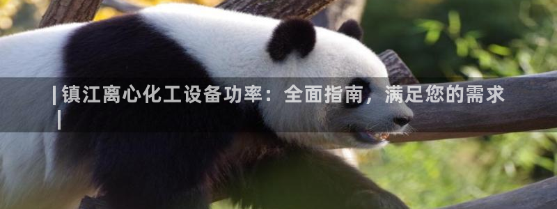 新城平台官网首页网址