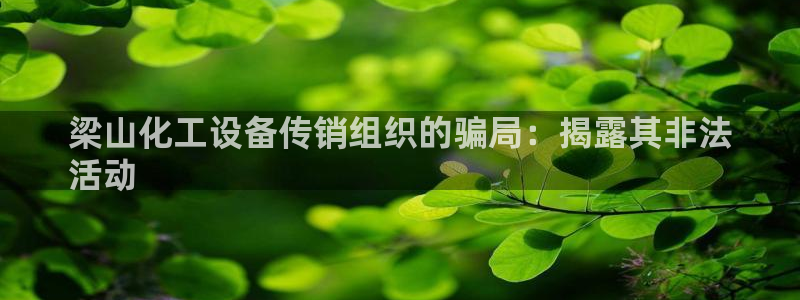 新城平台线路登录不上去怎么办呢