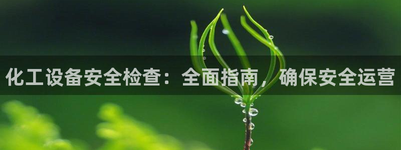 新城平台线路登录不上去怎么办