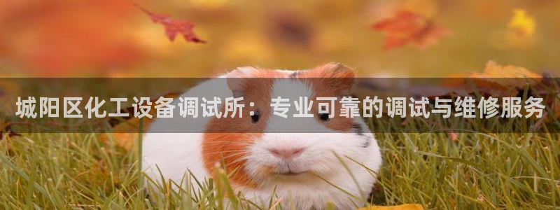 新城平台注册流程
