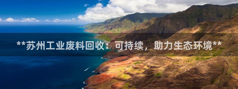 新城平台公司