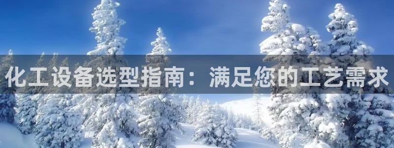 新城平台总代理是谁