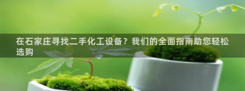 新城平台注册网址是什么