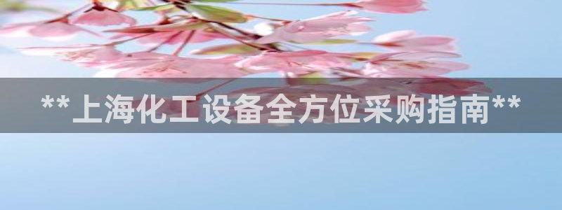 新城平台登录入口官网查询系统
