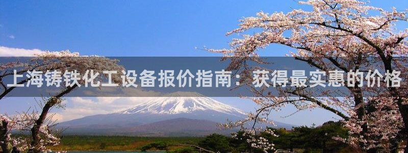 新城平台注册资金多少合适