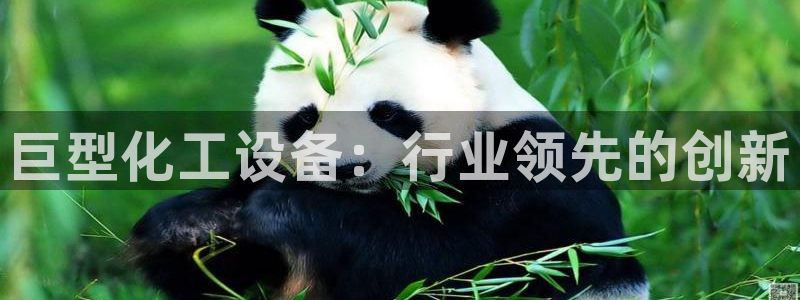 新城平台注册网址查询
