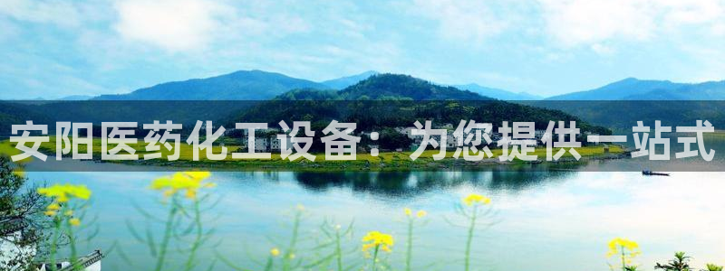 新城平台登录入口官网查询系统