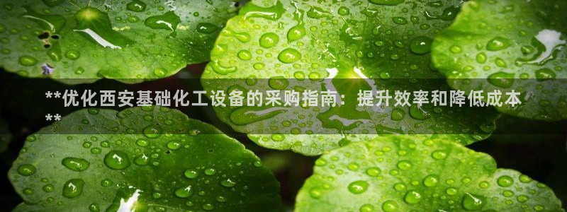 新城平台线路登录不上去