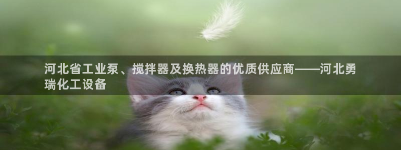 新城平台代理注册