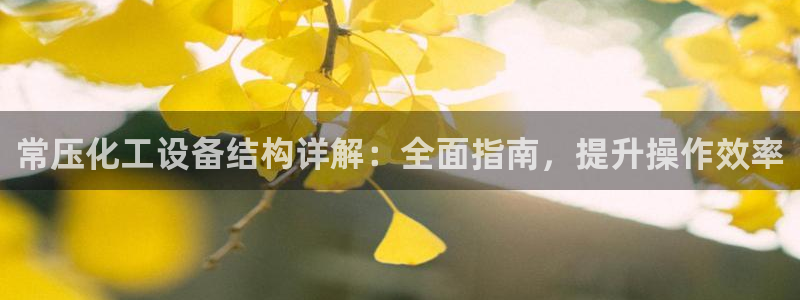 新城平台是干嘛的公司啊