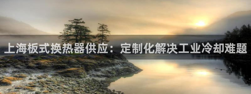 新城平台注册公司流程