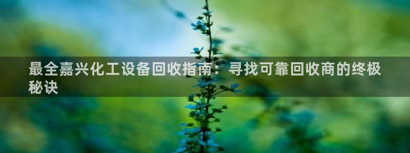 新城平台代理
