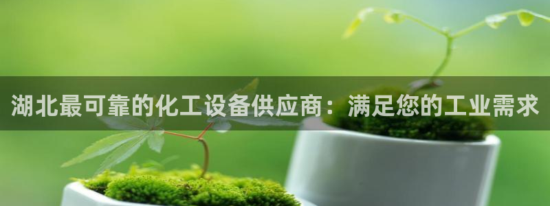 新城平台登录入口