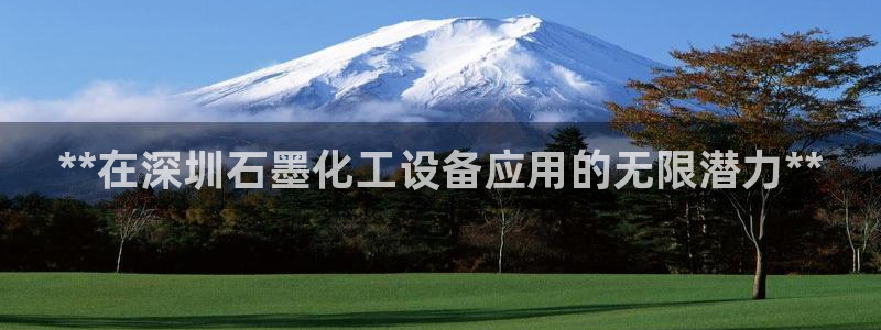 新城平台公司