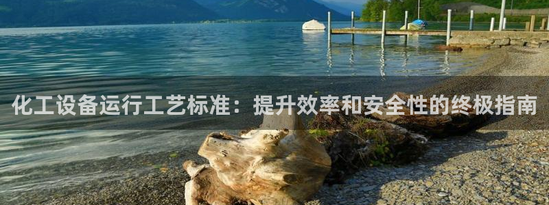 新城平台线路登录不上去