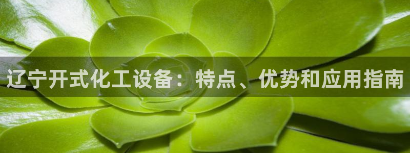 新城平台注册流程图