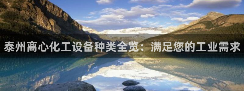 新城平台登录入口官网查询
