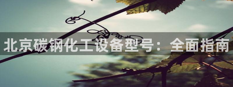 新城平台代理注册条件