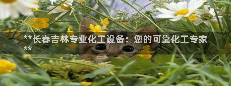 新城平台线路登录不上去怎么回事呀