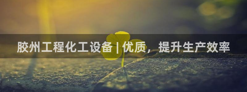新城平台官网注册账号