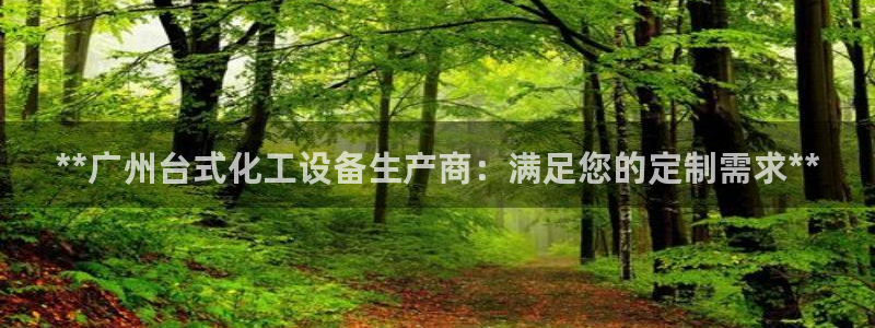 新城平台公司