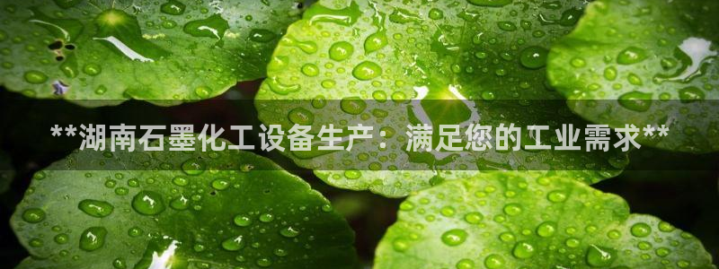 新城平台注册网址是多少