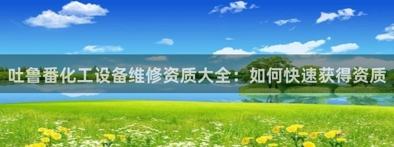 新城平台企业信息查询