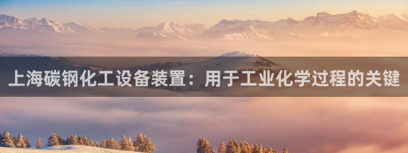 新城平台是干嘛的公司啊