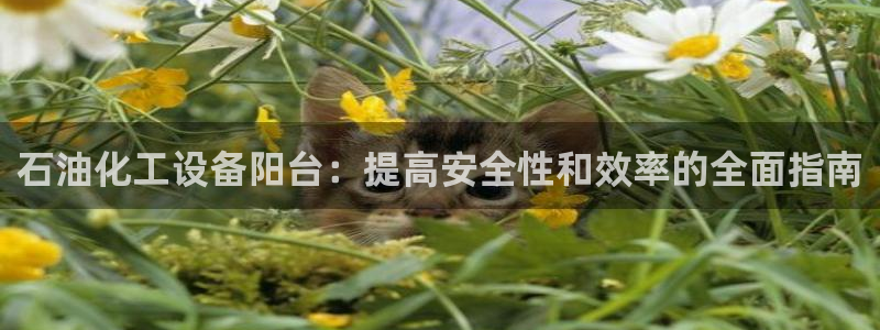 新城平台登录入口官网查询信息