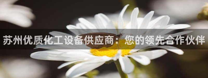 新城平台平台最新活动信息