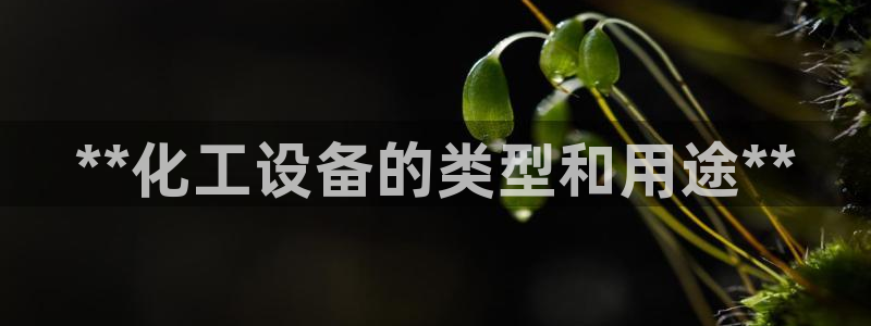 新城平台企业信息查询