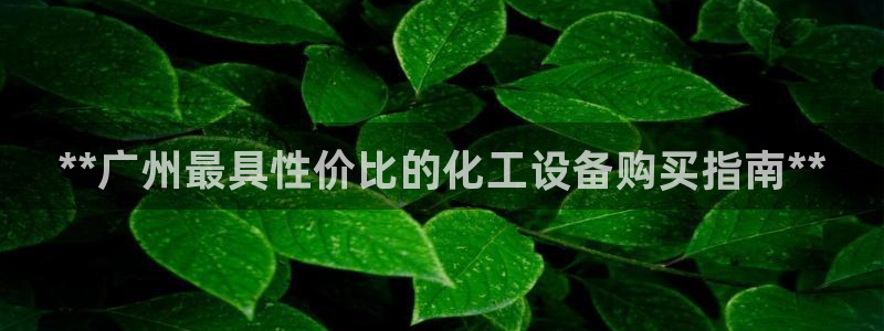 新城平台登录入口官网首页