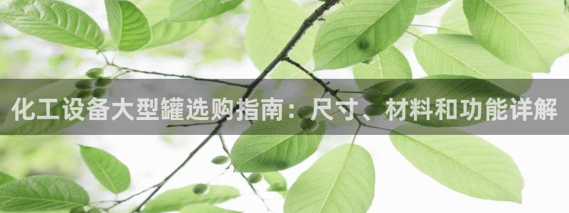 新城平台登录入口官网下载app