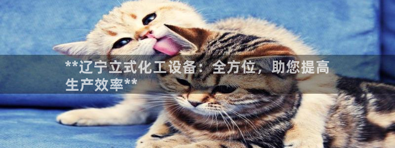 新城平台登录入口官网查询系统