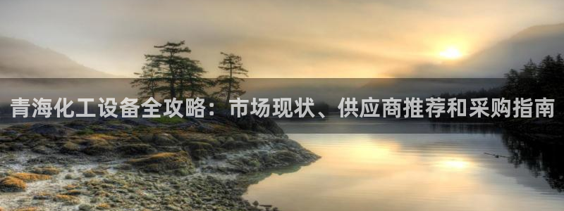 新城平台线路登录不上去怎么办
